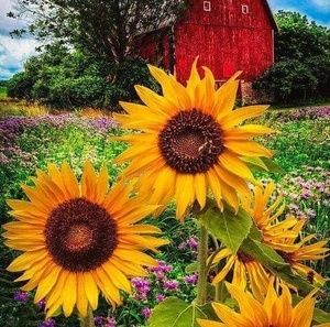 Meet your Posher, Vicky